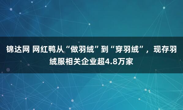 锦达网 网红鸭从“做羽绒”到“穿羽绒”，现存羽绒服相关企业超4.8万家