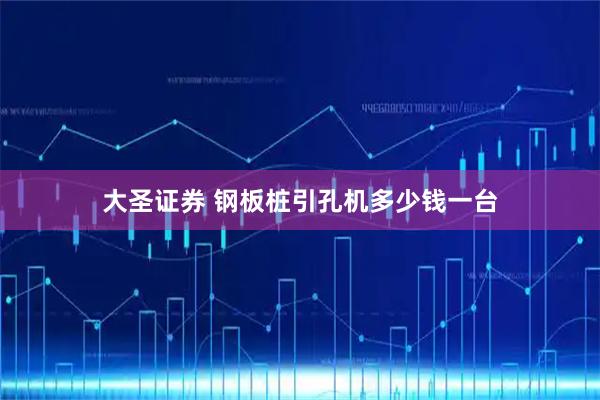 大圣证券 钢板桩引孔机多少钱一台
